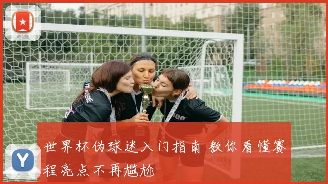 世界杯伪球迷入门指南 教你看懂赛程亮点不再尴尬