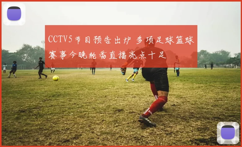 CCTV5节目预告出炉 多项足球篮球赛事今晚轮番直播亮点十足