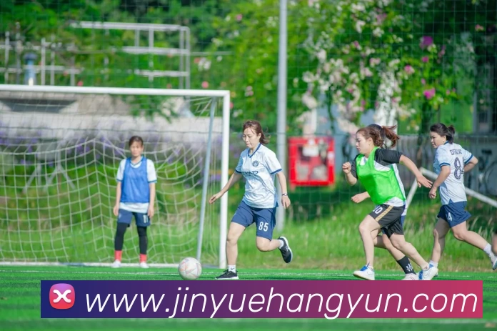 App Interface Preview